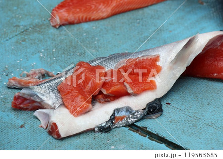 釣りたての鮭 釣りたての鮭 119563685