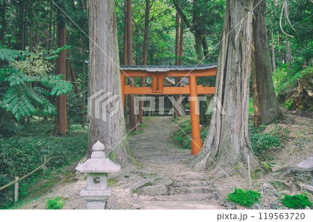 京北町 119563720
