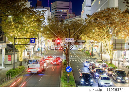 名古屋市、栄ミナミ・大須ウインターイルミネーション 名古屋市、栄ミナミ・大須ウインターイルミネーション 119563744