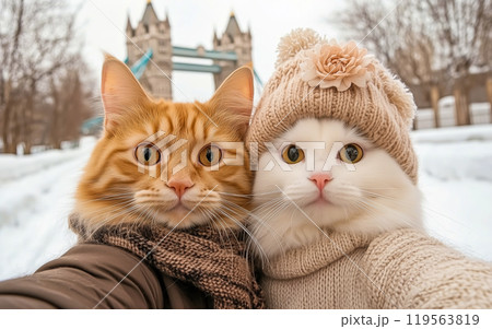 Happy couple in love, white fluffy female cat in a hat and sweater and red male cat  in a coat take a selfie against the backdrop of Tower Bridge in London, , United Kingdom. AI-generated item  119563819