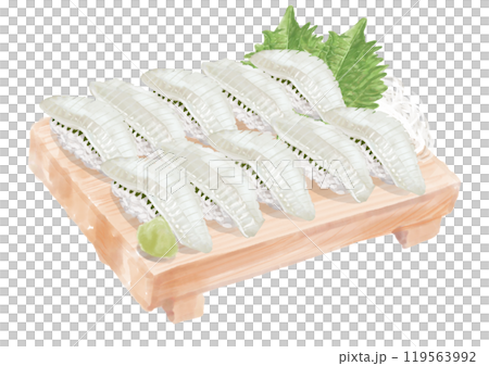 水彩の寿司_えんがわ01_6 水彩の寿司_えんがわ01_6 119563992