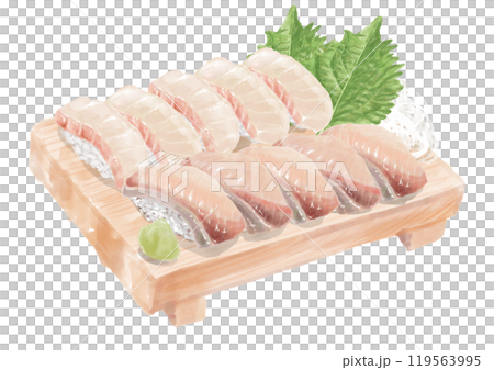 水彩の寿司_セット(はまち・タイ)09_1 水彩の寿司_セット(はまち・タイ)09_1 119563995