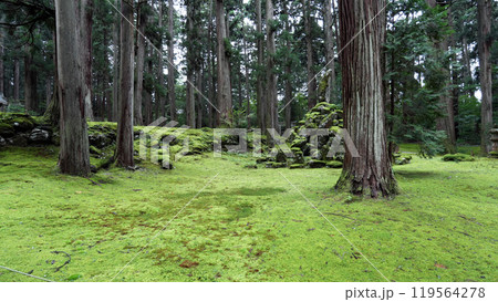 白山神社 119564278