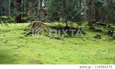 白山神社 白山神社 119564279