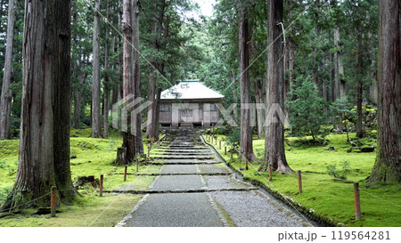 白山神社 119564281