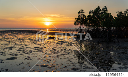 Epic sunset scene on Koh Phangan island. The sun's rays illuminate the clouds, and the sky is mirrored from the water and sand against the backdrop of mangrove trees 119564324