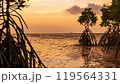 Epic sunset scene on Koh Phangan island. The sun's rays illuminate the clouds, and the sky is mirrored from the water and sand against the backdrop of mangrove trees 119564331