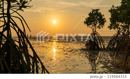 Epic sunset scene on Koh Phangan island. The sun's rays illuminate the clouds, and the sky is mirrored from the water and sand against the backdrop of mangrove trees 119564333