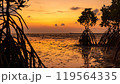 A sunset over a muddy beach with mangroves in the foreground 119564335
