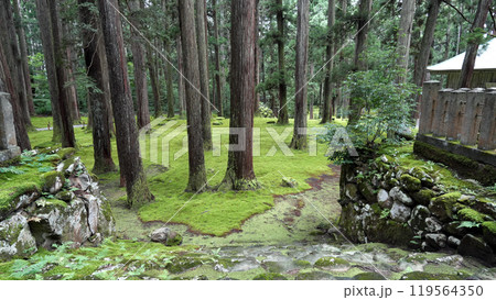 平泉寺白山神社 平泉寺白山神社 119564350