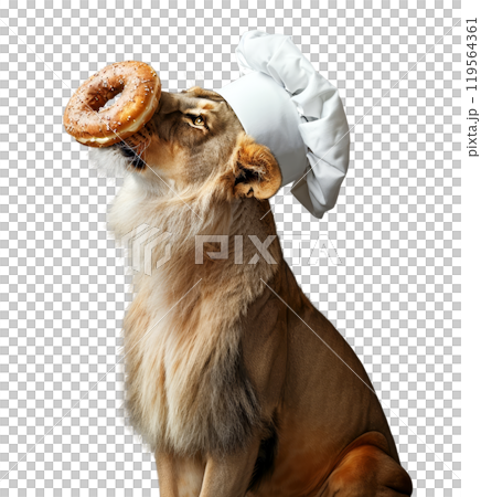 Lioness wearing a white chef's hat with a donut balanced on her head 119564361
