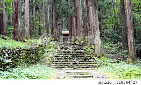 平泉寺白山神社 平泉寺白山神社 119564427