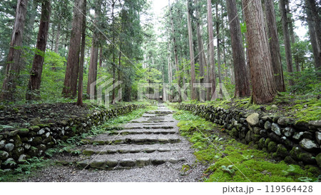 平泉寺白山神社 119564428