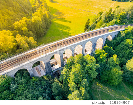 Aerial view of Sychrov Railway Bridge surrounded by lush greenery, showcasing its architectural structure against a vibrant landscape. 119564907