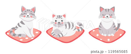 Cute cat set. Cute gray tabby kitten on a pillow. Flat style illustration, postcard Cute cat set. Cute gray tabby kitten on a pillow. Flat style illustration, postcard 119565085