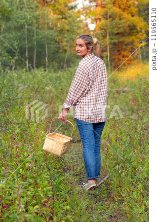 A woman in blue jeans and plaid shirt with a wicker basket is walking in the forest trail among trees and bushes and looking for mushrooms. A woman in blue jeans and plaid shirt with a wicker basket is walking in the forest trail among trees and bushes and looking for mushrooms. 119565110