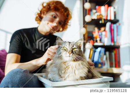 domestic cat grooming domestic cat grooming 119565128