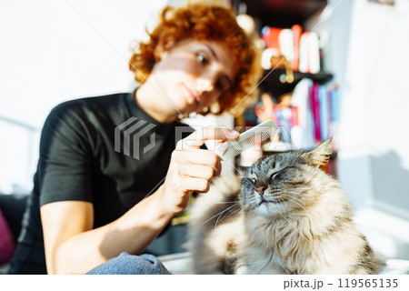 domestic cat grooming 119565135