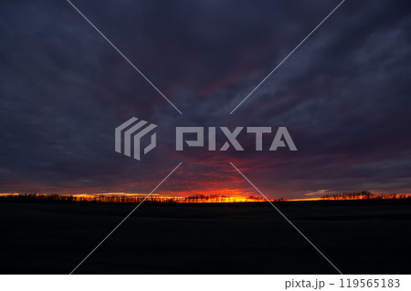 Dramatic sunset in prairies with tree silhouettes in the horizon, purple and orange light. Dramatic sunset in prairies with tree silhouettes in the horizon, purple and orange light. 119565183
