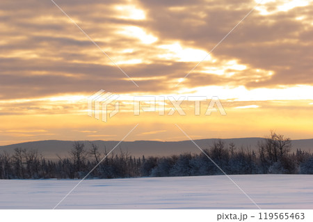 Orange sunrise through clouds over the agricultural field covered with snow in winter prairies, forest and hills on the background. Orange sunrise through clouds over the agricultural field covered with snow in winter prairies, forest and hills on the background. 119565463