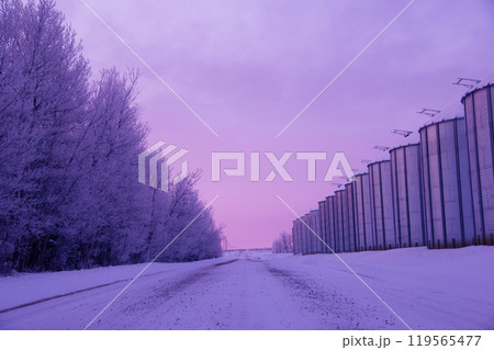 Picturesque winter sunrise in the grain farm in prairies. Granaries along the country road in purple and pink morning light. 119565477