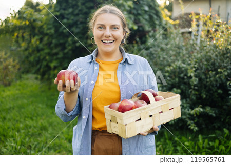 Happy Caucasian 30s farmer woman with freshly harvested apples in wooden box. Agriculture and gardening concept. Apple harvesting. Top view. 119565761