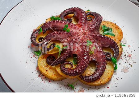 Octopus with potatoes and spices , on a light plate, top view, no people, homemade, close-up, 119565859