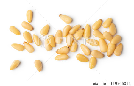 Roasted pine nuts Roasted pine nuts 119566016