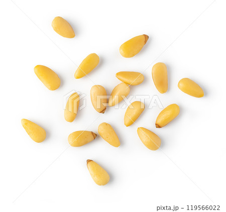 Roasted pine nuts 119566022