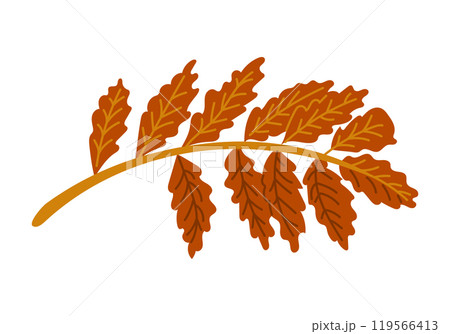 Illustration of a rowan leaf branch Illustration of a rowan leaf branch 119566413