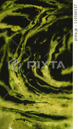 Fluid marble. Futuristic spill art. Defocused green black golden color paint pattern flow liquid ink drip shiny abstract background. 119566537