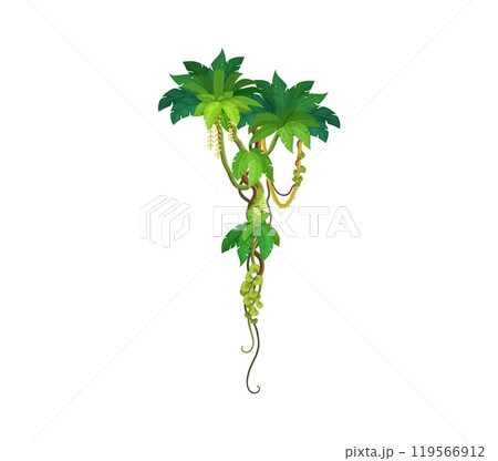 Tropical jungle rain forest vertical liana vine branch and leaves. Cartoon vector Amazon or African natural thicket, green foliage spinney, hanging tree leaves, exotic rainforest plant, climbing roots 119566912