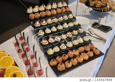 light snacks for the holiday, catering. Various light snacks. Catering plate. Assortment of sandwiches on the buffet table. meat, fish, vegetable canapes. 119567409