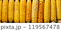 Fresh ripe corn cobs seamless texture background. 119567478