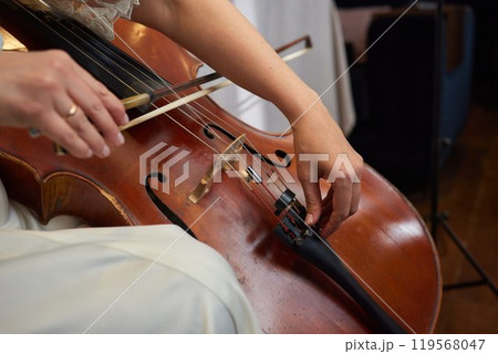 A cellist skillfully plays the cello, focused and immersed in the music 119568047
