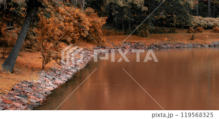 Embrace the beauty of autumn with this tranquil forest pond landscape. Embrace the beauty of autumn with this tranquil forest pond landscape. 119568325