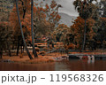 Find peace in the quiet beauty of nature's fall palette at this serene woodland pond 119568326