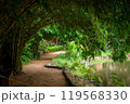 Embrace the tranquil beauty of nature's shadow where the road is covered by the shadows of towering trees. Nature Landscape 119568330