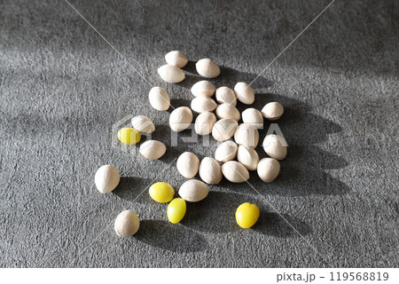 グレー背景のギンナン 119568819