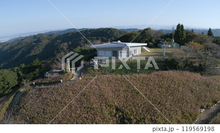 鷲ヶ峰コスモスパークドローン22 119569198