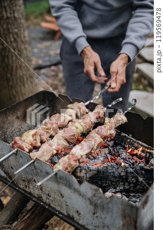 Grilling marinated meat skewers over open coals for backyard barbecue, embracing outdoor cooking 119569478