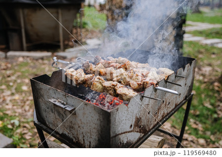 Juicy meat skewers grilling on hot coals, perfect for outdoor barbecue lovers 119569480