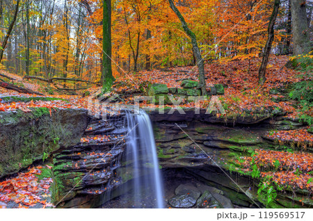 Dundee Falls in Autumn, Beach City Wilderness Area, Ohio Dundee Falls in Autumn, Beach City Wilderness Area, Ohio 119569517