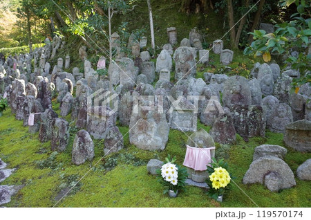 千体石仏群の風景_清水寺 千体石仏群の風景_清水寺 119570174