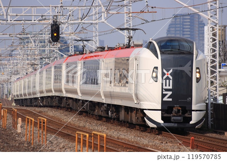 高架線を高速で駆け抜けるE259系電車の特急成田エクスプレス_2010/7/25撮影 119570785