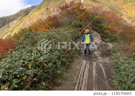登山をする女性 119570865