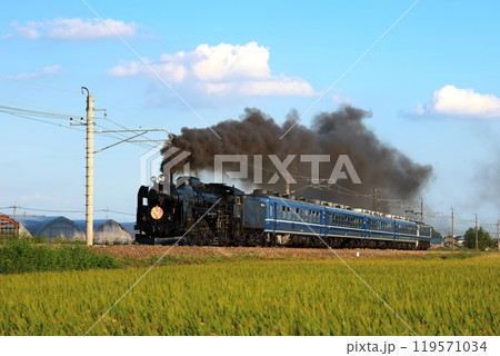 【JR東日本】C61形＋12系＋EF65形 快速「SL ぐんまきりゅう」（両毛線：伊勢崎〜駒形） 119571034