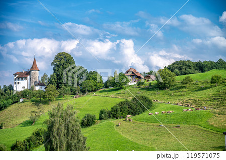 Summer in the Mountains. Pilatus Peak Summer in the Mountains. Pilatus Peak 119571075