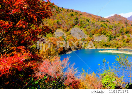 紅葉の奥四万湖 119571171