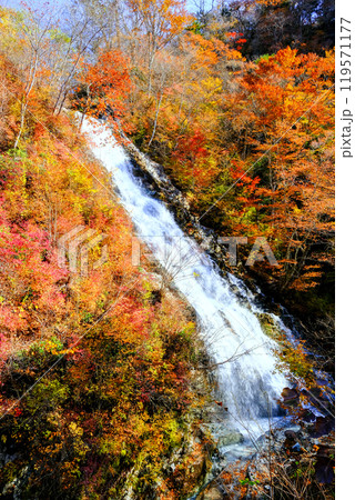 紅葉としゃくなげの滝(縦) 紅葉としゃくなげの滝(縦) 119571177